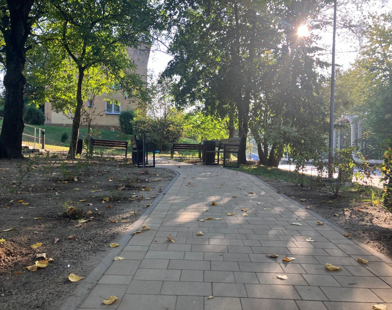 Zagospodarowanie terenu